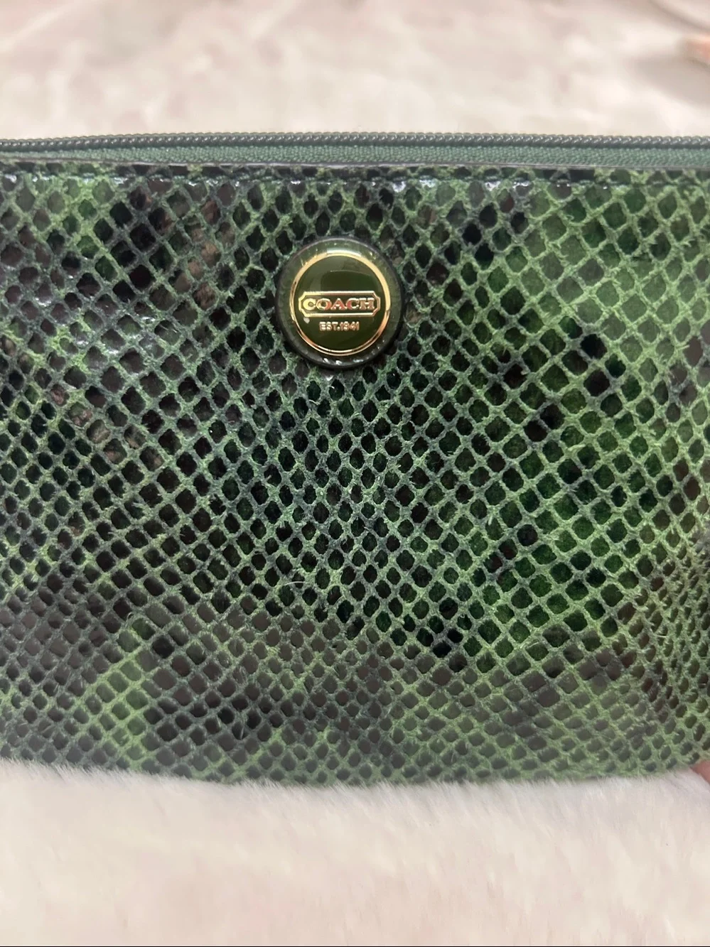 Coach like clean snakeskin